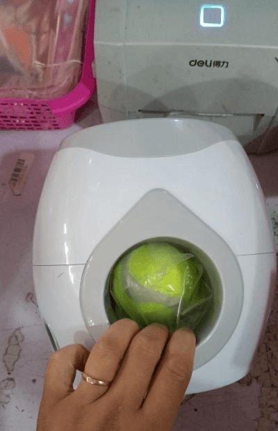 Automatic Pet Training And Feeding System-4